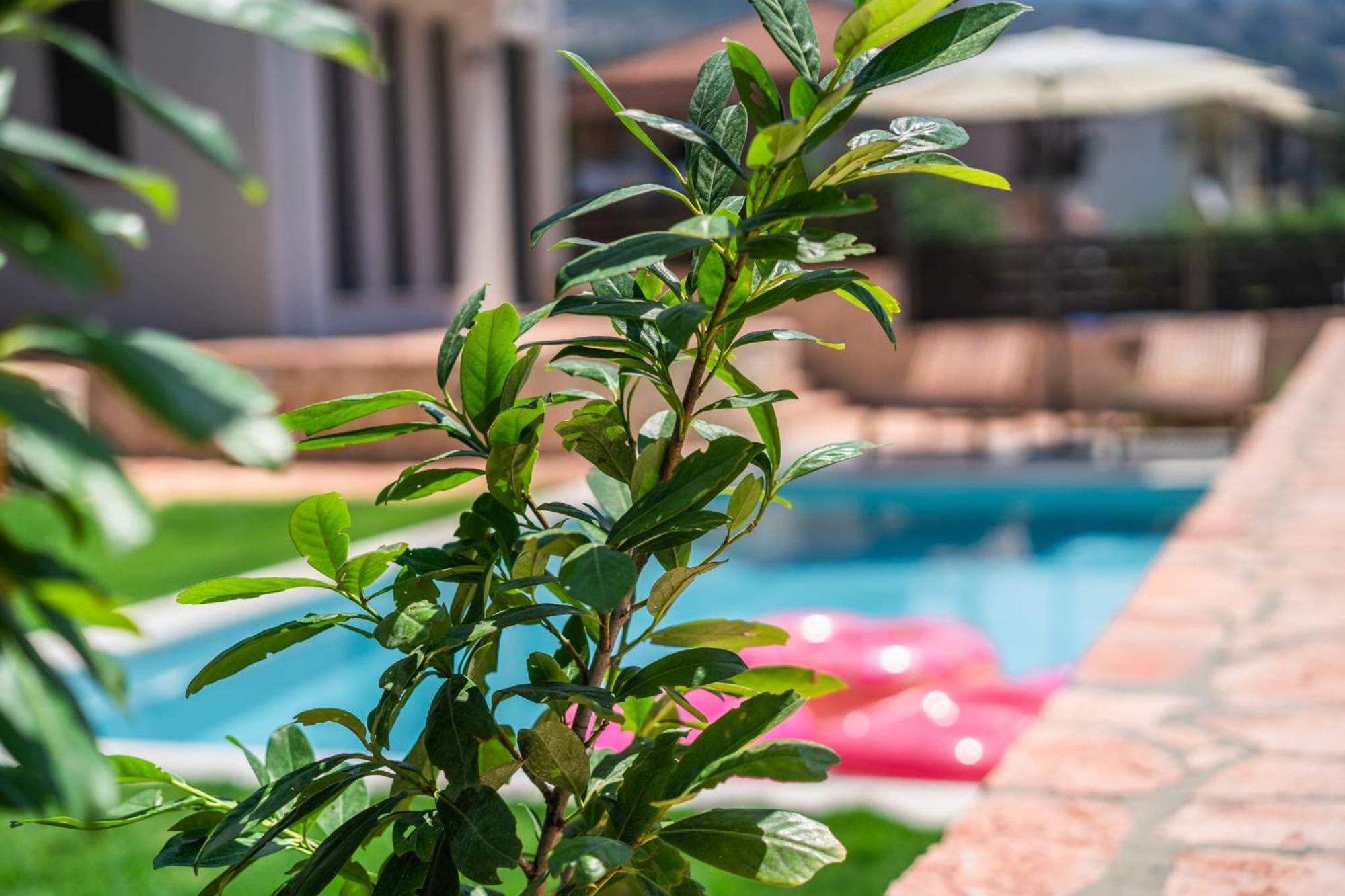 Marival Luxury Living - Adults Only Apartment Sívota Exterior foto